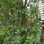 garden doodah / windchime